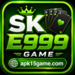 SK E999 Game