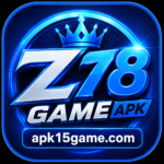 Z78 Game