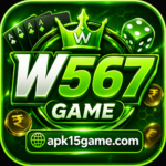 W567 Game